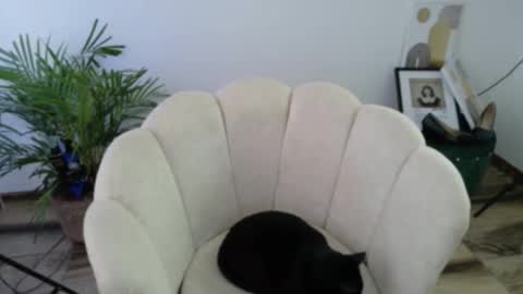 Feelena online show from October 15, 7:47 pm