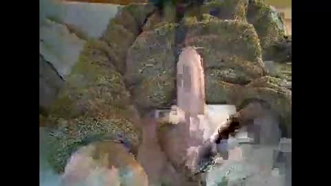 felipesmg2 online show from September 10, 12:06 pm