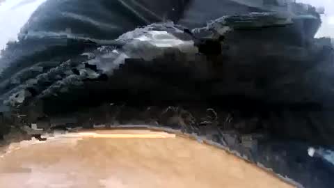 felixske online show from November 23, 9:40 am