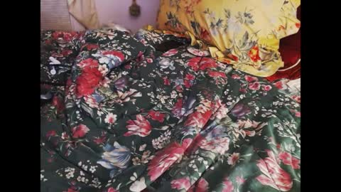 ferra_testarossa online show from April 9, 2:37 am