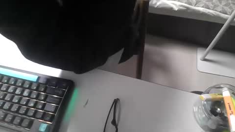 festival1129 online show from December 1, 12:36 pm