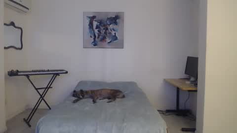 FeuerHeat online show from February 28, 12:09 pm