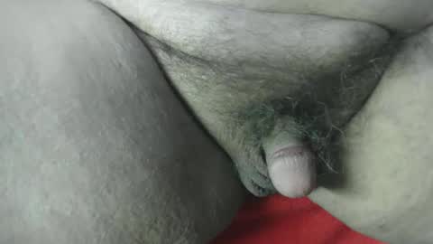 Fish online show from December 4, 12:52 pm