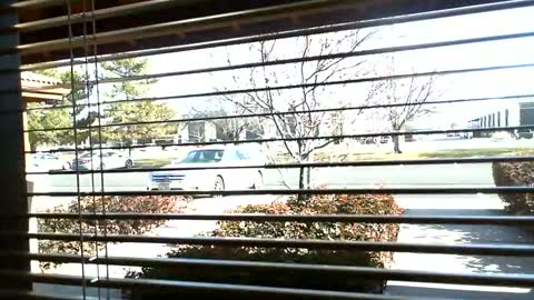 pain slut daren online show from January 9, 7:08 pm