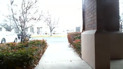 pain slut daren online show from December 16, 5:33 pm