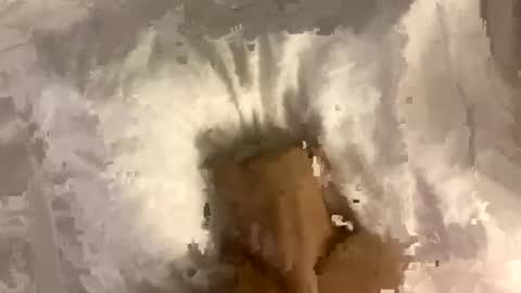 fixanything2000 online show from January 12, 1:16 pm