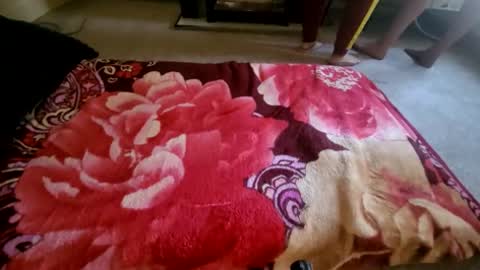 florincar online show from March 21, 3:17 pm