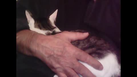 Hooz2no online show from October 12, 12:58 am