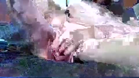 founcho online show from December 5, 10:18 pm