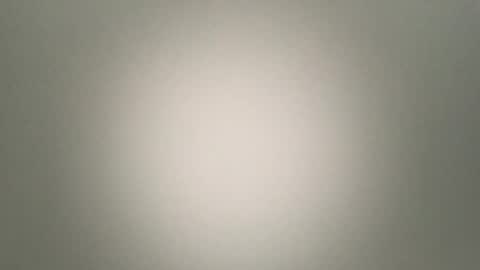 foxysausage online show from February 6, 12:30 pm