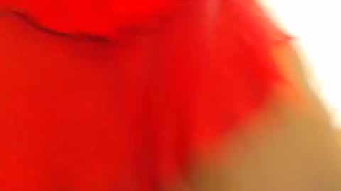 Snapshot of freakyboobsxx chatting on March 6, 10:58 pm Kimmy online show from March 6, 10:58 pm