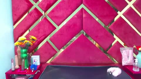 Snapshot of freyja_naugthy chatting on February 20, 12:25 pm freyja_naugthy online show from February 20, 12:25 pm