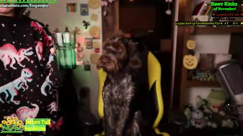   Jaywise Frogfoot  online show from November 16, 9:06 pm