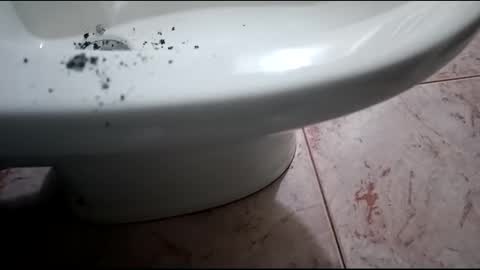 Hornycouple1386 online show from January 31, 8:54 pm