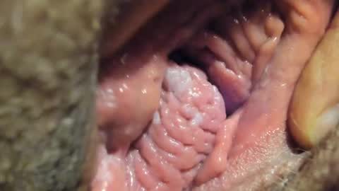 FrumCake online show from January 4, 1:10 am