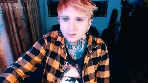          HEHIM  online show from November 8, 7:00 am