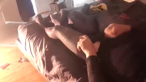 Pizzaz online show from October 10, 1:11 am