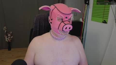 Piggy online show from May 16, 9:02 pm