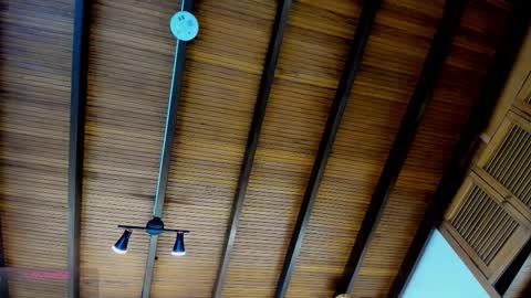 Gaby Vega  online show from January 13, 11:40 am