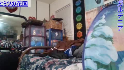 Snapshot of gardeniaspear chatting on January 29, 8:51 am Gardenia online show from January 29, 8:51 am