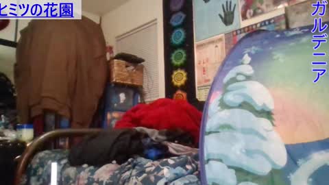 Snapshot of gardeniaspear chatting on January 21, 7:37 am Gardenia online show from January 21, 7:37 am