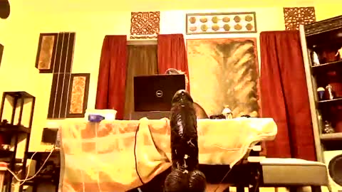 gatewaylaptop2019 online show from March 9, 7:56 am