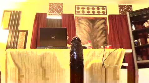 gatewaylaptop2019 online show from March 2, 3:37 pm