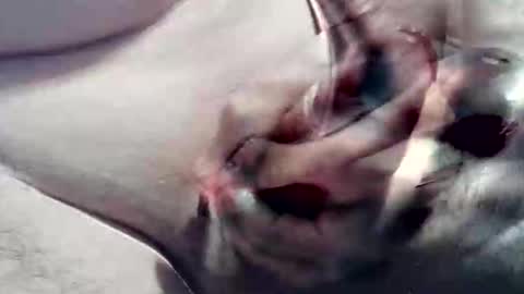 ghost1805 online show from September 17, 6:28 am