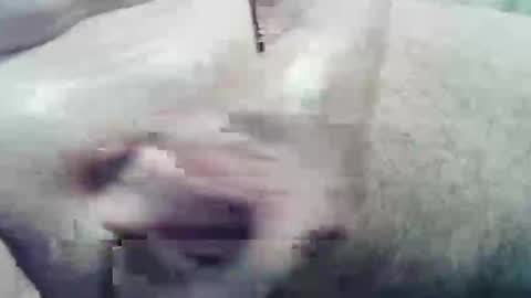 ghost1805 online show from December 10, 2:05 am