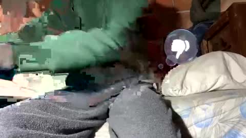 Corrado online show from January 12, 2:30 pm