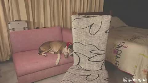 Gigi independet model P online show from November 30, 12:07 am