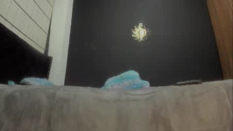 Miss online show from March 7, 6:54 pm