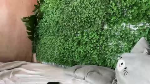 goddess_jennyxx online show from March 28, 8:27 am