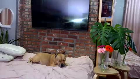 Goodess Jojo online show from April 4, 1:12 am