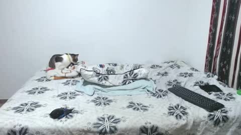 gold_shooter online show from March 25, 7:15 am