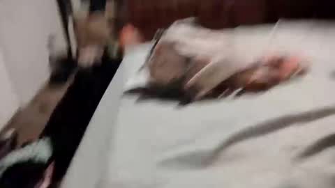 goodandplentygoods online show from January 14, 5:37 am