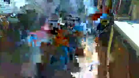 greyhounddog online show from November 19, 8:13 am