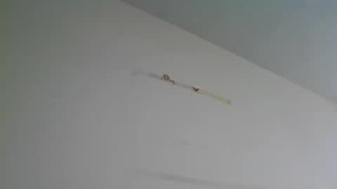 certifiedloverboy online show from February 17, 9:21 pm