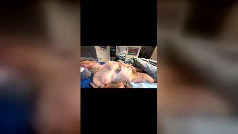 h20976 online show from February 27, 12:09 pm