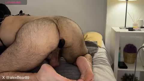hairyarabbear online show from September 15, 2:02 am