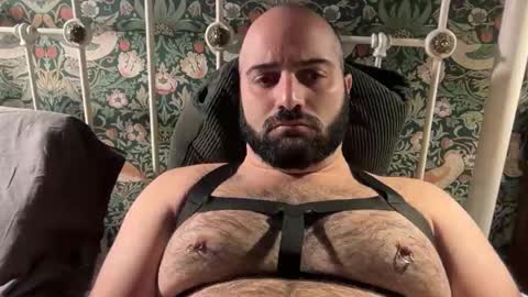 Hairy Guy online show from November 26, 9:00 pm