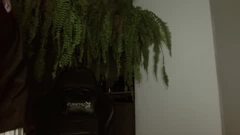 halan online show from February 27, 9:18 am