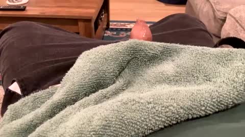 handhugger online show from December 27, 8:28 pm