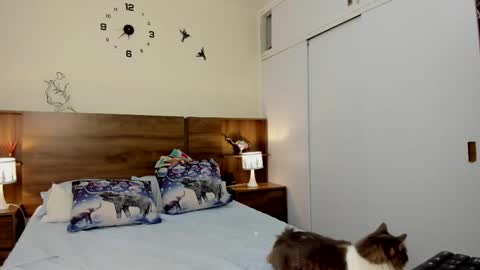 taylor live   online show from March 3, 11:34 pm