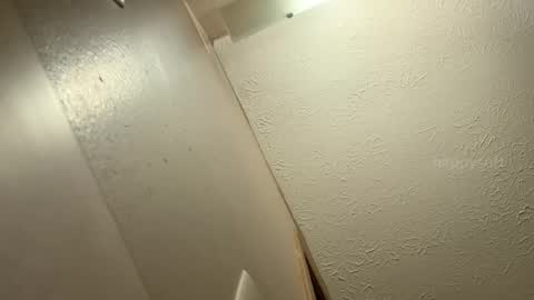 meatwad online show from December 9, 6:14 pm