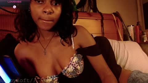 meatwad online show from February 28, 2:31 pm