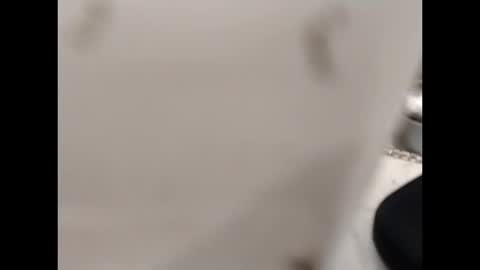 hardandhorny422 online show from October 12, 1:04 pm