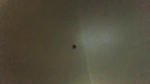 For You online show from February 4, 8:02 am