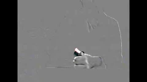 hardman7007 online show from September 19, 9:18 pm