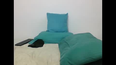  Harry    online show from November 11, 10:23 pm